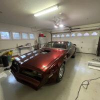 Greaser Detailing and Wraps and Tint and PPF and Chrome Delete Medina. Medina County. Ohio 16 word1