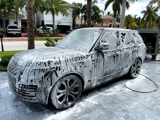 Next Level Premium Detailing Sunrise. Broward County. Florida 1 word2