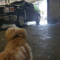 Supreme Auto Detail Providence. Providence County. Rhode Island 4 word1