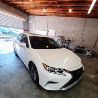 Vivid Reflections Auto Detailing Petal. . Mississippi 9 word2